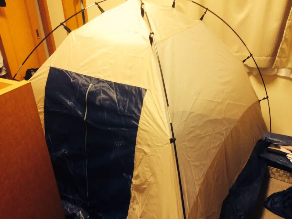 Set Up a Tent in My Leo Palace Apartment