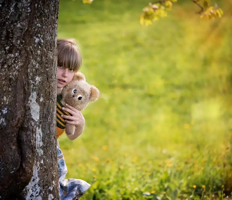 Hide and Seek, child and teddy bear.